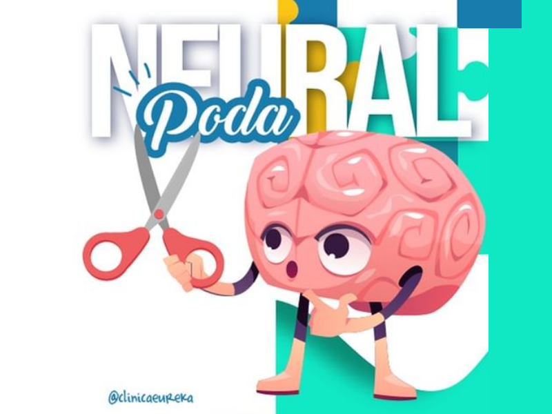 Poda Neural
